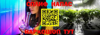 каннабис Камышлов
