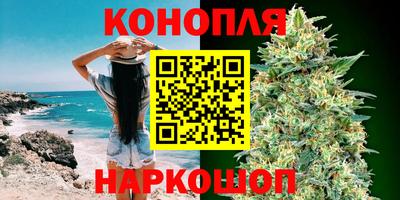 крисы Канаш