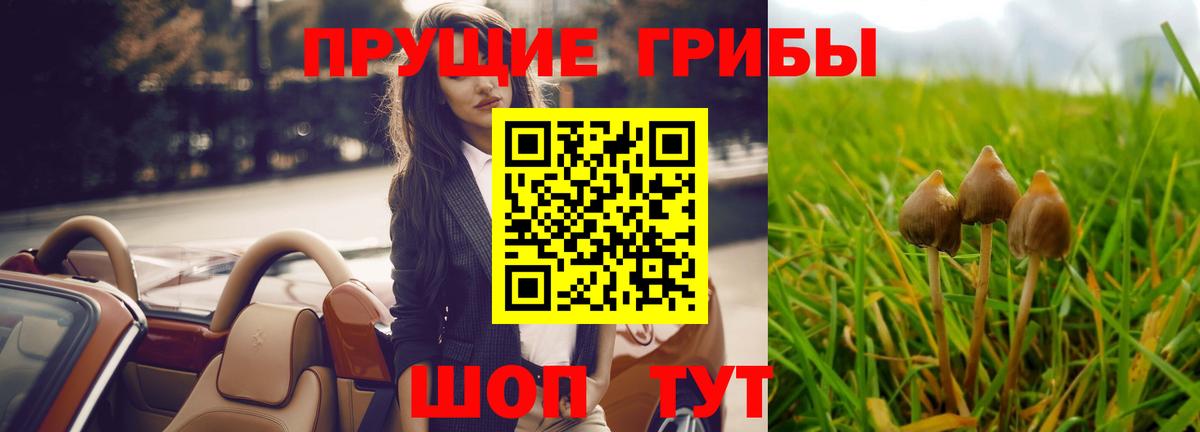 Галлюциногенные грибы Cubensis  Галлюциногенные грибы GOLDEN TEACHER  Вход с VPN  Гудермес 
